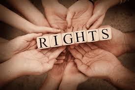 Comprehensive Legal Services for Human Rights Protection